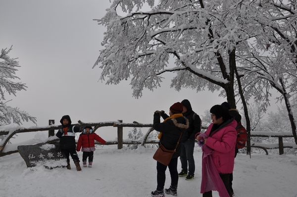 2012春节天子山雪景欣赏